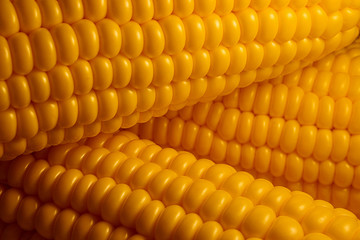 corn 1