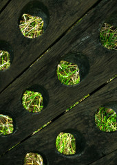 séchoir à bouteilles