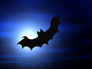 halloween background, flying bat