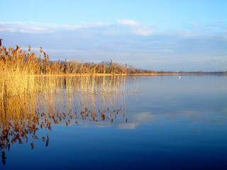 lake greifensee