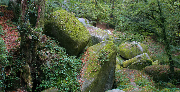 paysage d'automne dans la for&ecirc;t des korrigans