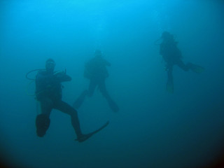 divers