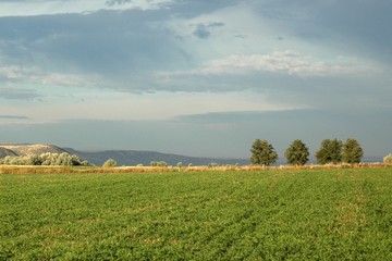 idaho farm