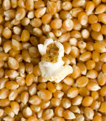 popcorn before and after - shallow depth of field