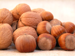 walnuts and hazelnuts