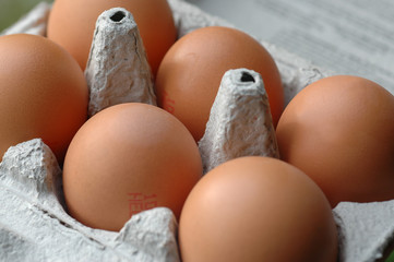 eggs in box