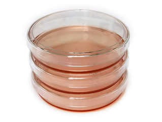 petri dish stack