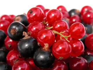 currants