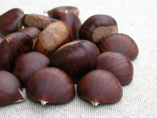 chestnuts
