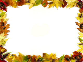 frame of leafs iii