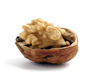 walnut