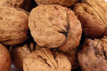 walnut