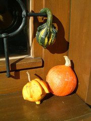 pumpkins in window