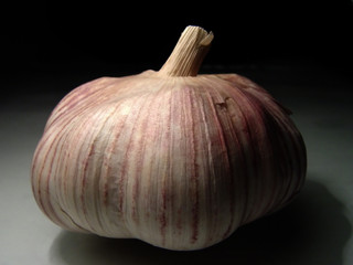 garlic