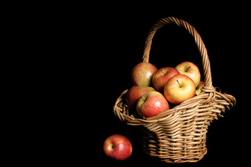 apple harvest