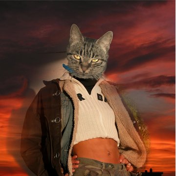femme chat