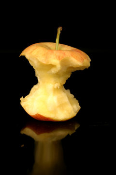 trognon de pomme