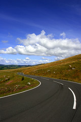 Naklejka premium the long and winding road