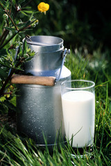 verre de lait