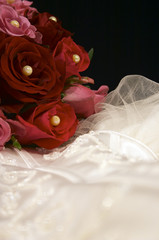 wedding dress portait