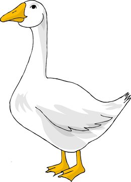 White Goose