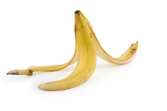 banana trap