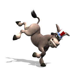 donkey
