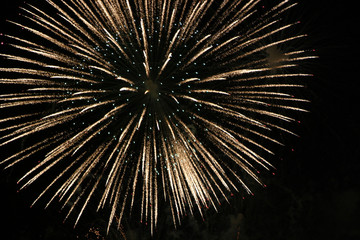 Obraz premium fireworks