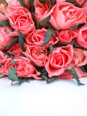 Papier Peint photo autocollant Macro bouquet de roses roses