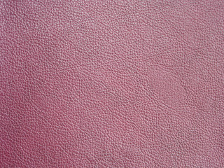Fototapeta premium texture