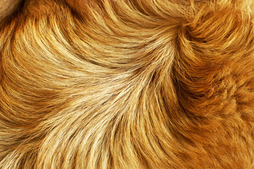 fur structure