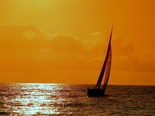 sailing to the sunset