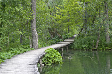 Fototapeta na wymiar Plitvice lakes National Park, Croatia
