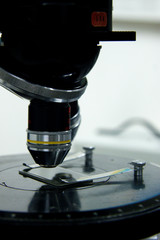 thin section on the microscope stage