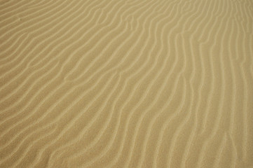 sand texture