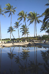 Naklejka na ściany i meble palm trees reflected in a swimming pool