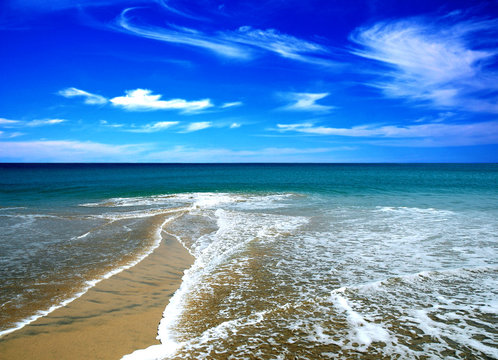 Fototapeta beach in the summer