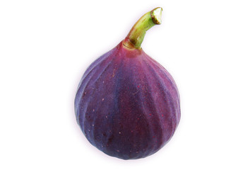 figue méditerranéenne