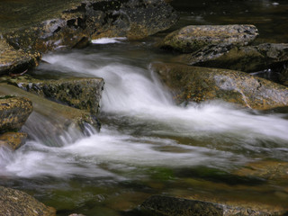 brook in the smoky mountains