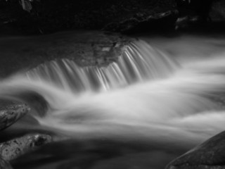 smokey mountain stream