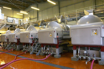 grapes press