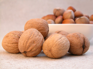 walnuts and hazelnuts