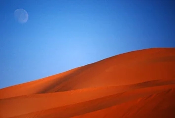 Fototapeten Mond in der Wüste. Mond in der Wüste © Franck Lachaud