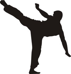 karate fighter kicking  2 silhouette