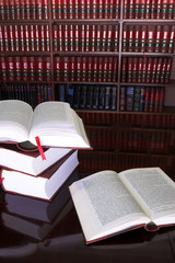 legal books #23 - 129601
