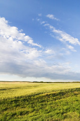 prairie sky landscape