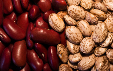 kidney & pinto beans