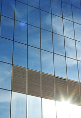 glass office building with reflection of sky