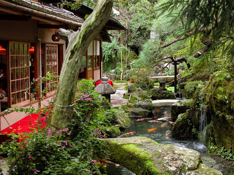 Japanese Garden