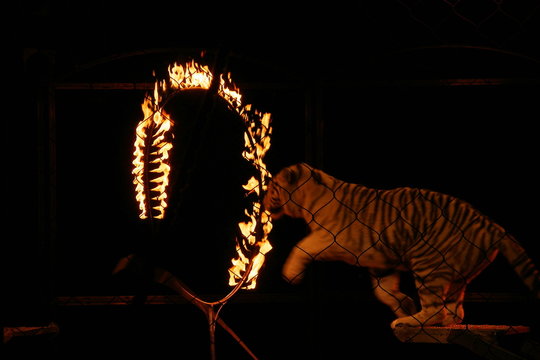 cirque